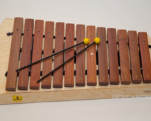 Xylophone Studio 49