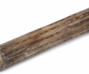 Kaktus-Regenstab — 150 cm (stark)