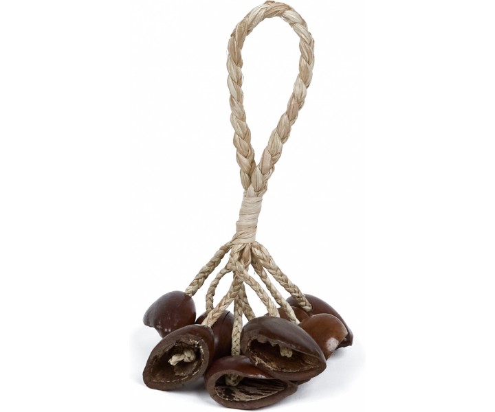 Juju Rassel mit Schlaufe