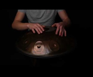 Savita Handpan D Celtic 9+1 stainless