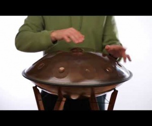 Savita Handpan D Celtic 9+1 stainless