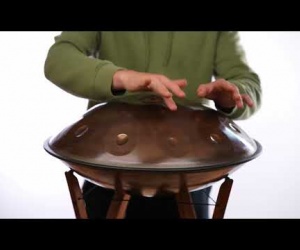 Savita Handpan D Celtic 9+1 stainless